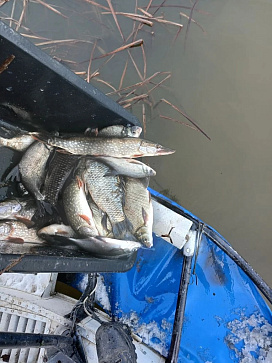 Сводка рыбоохраны с 12.01.2026 года по 19.01.2026 года